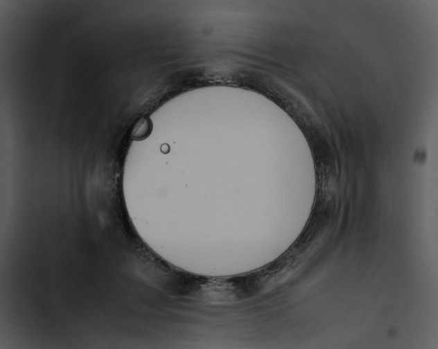 X0000102840603200809081222