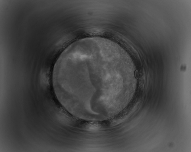 X0000102840604200809081221