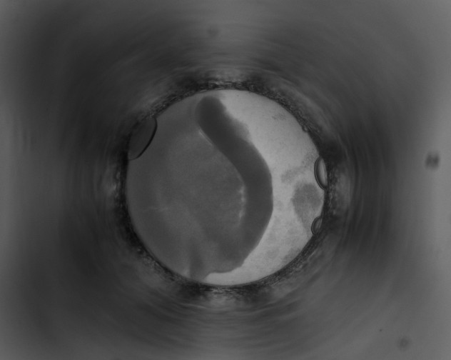 X0000102840608200809081221