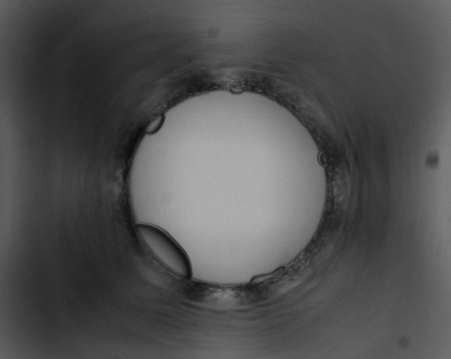 X0000102840611200809081221