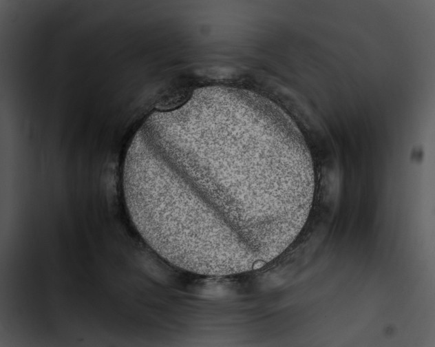 X0000102840612200809081221