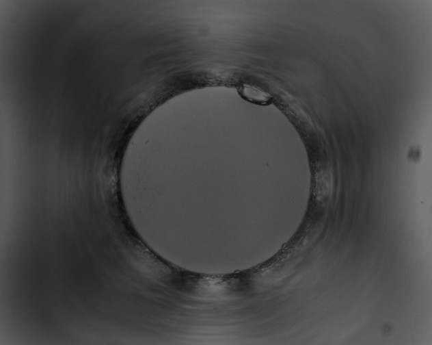 X0000102840613200809081221