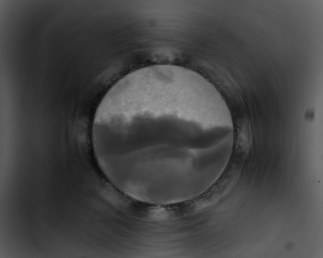 X0000102840616200809081221