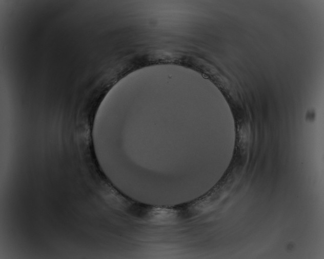 X0000102840617200809081221