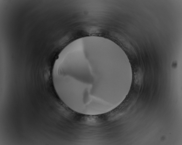 X0000102840618200809081221