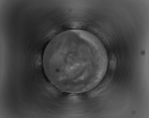 X0000102840620200809081221