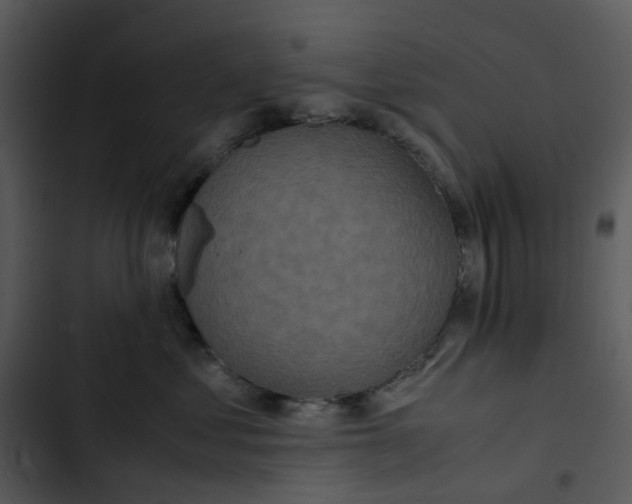 X0000102840621200809081221