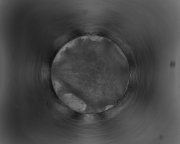 X0000102840623200809081221