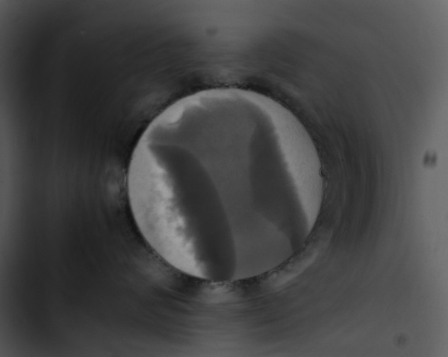 X0000102840624200809081221