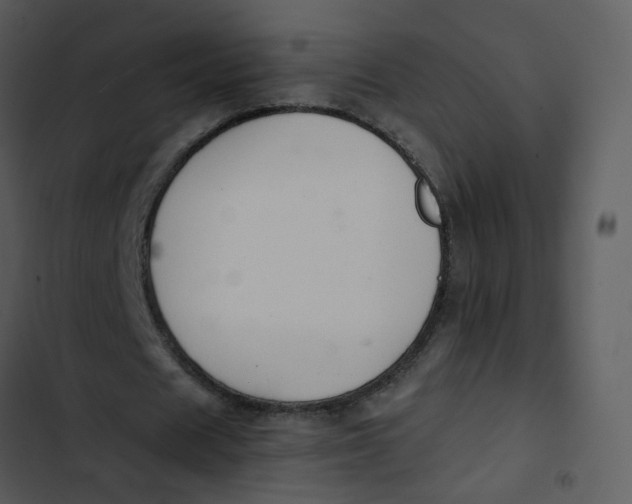 X0000102840625200809081220