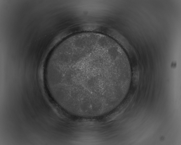 X0000102840626200809081220