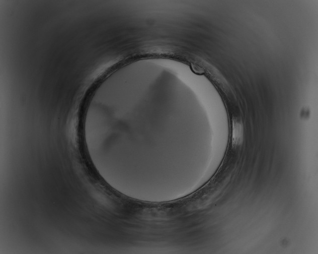 X0000102840627200809081220