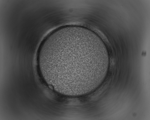 X0000102840628200809081220