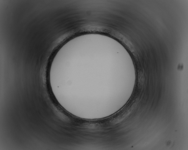 X0000102840629200809081220