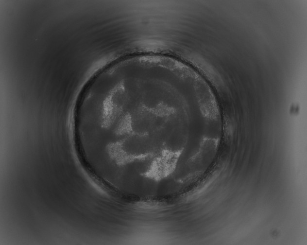 X0000102840630200809081220