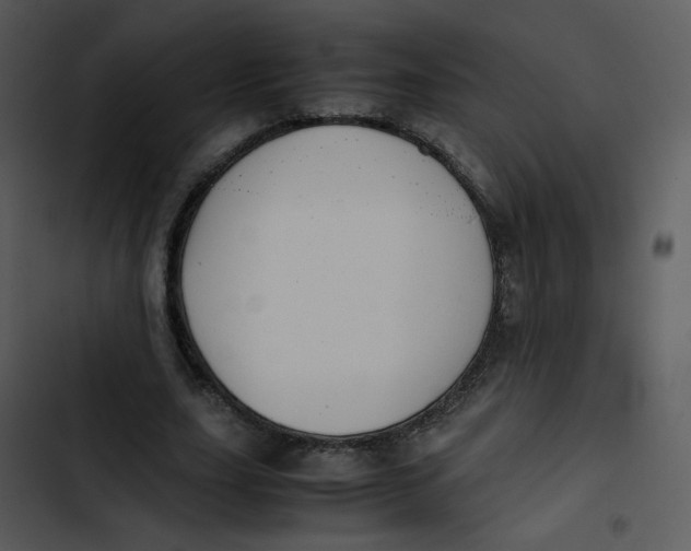 X0000102840631200809081220