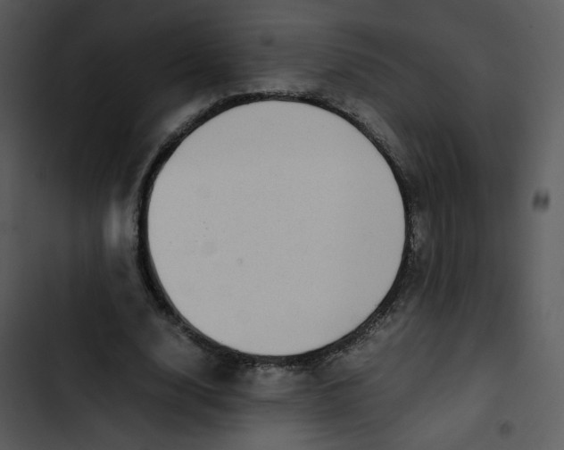 X0000102840632200809081220