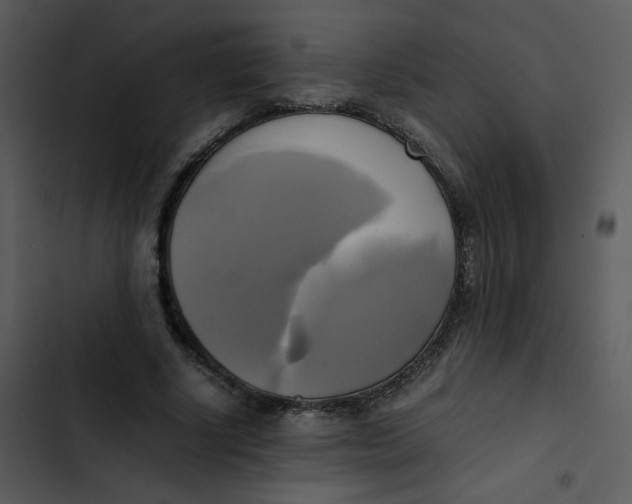 X0000102840634200809081221