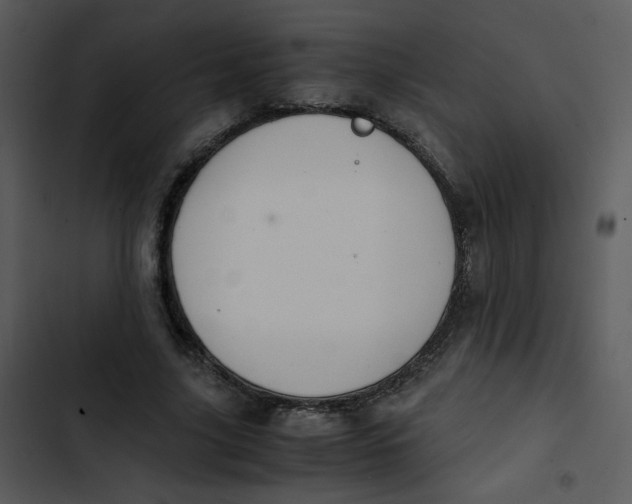 X0000102840635200809081221