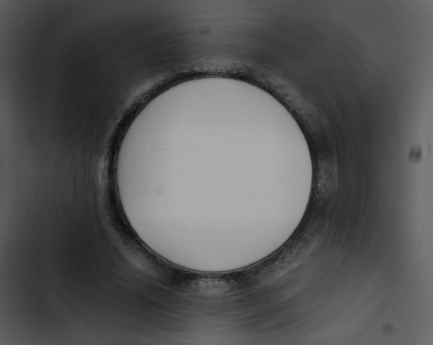 X0000102840636200809081221