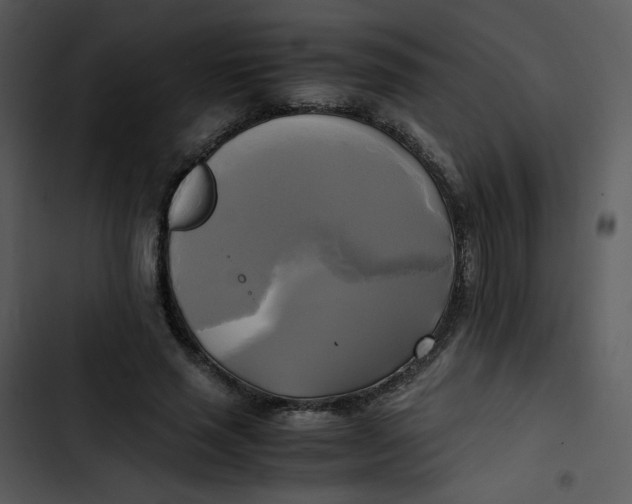 X0000102840637200809081221