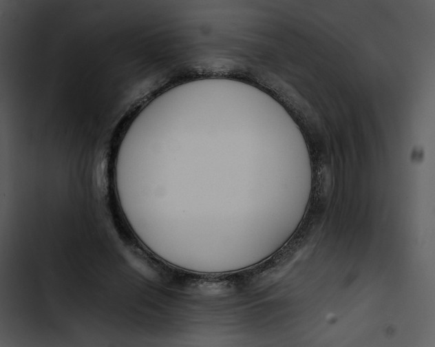 X0000102840638200809081221