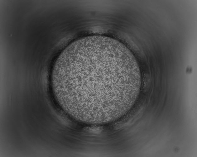 X0000102840639200809081221