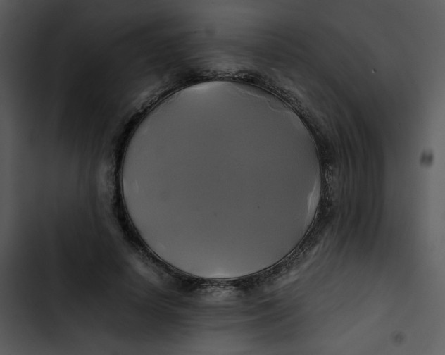 X0000102840642200809081221