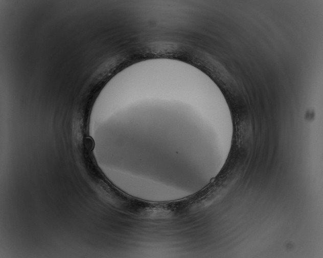 X0000102840644200809081221