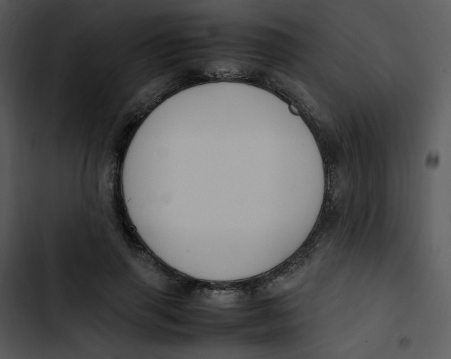 X0000102840645200809081221