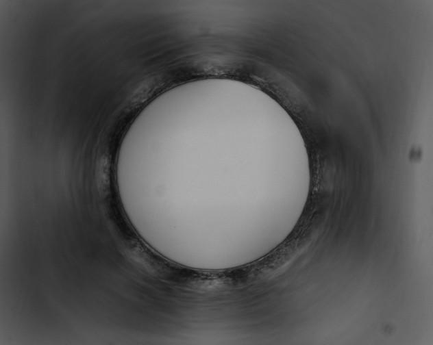 X0000102840646200809081221