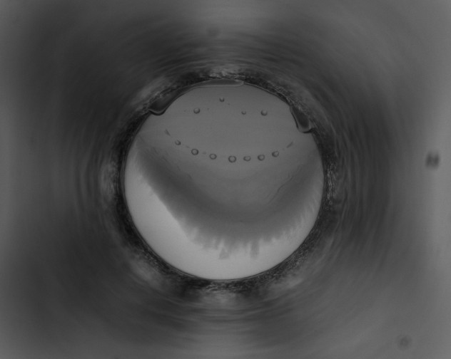 X0000102840648200809081221