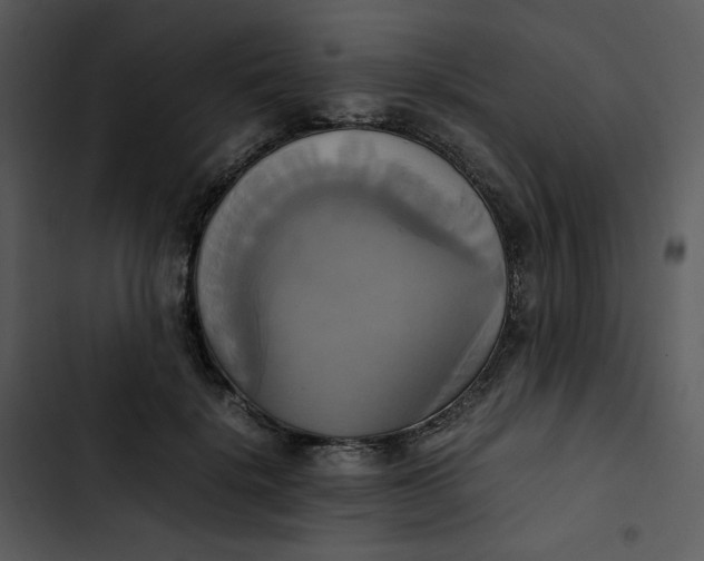 X0000102840652200809081221