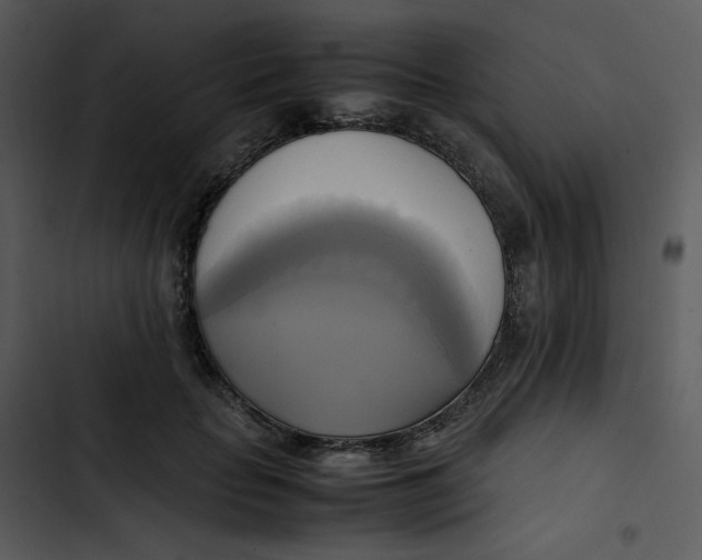 X0000102840653200809081221