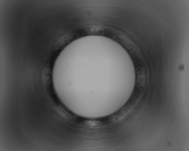 X0000102840654200809081221