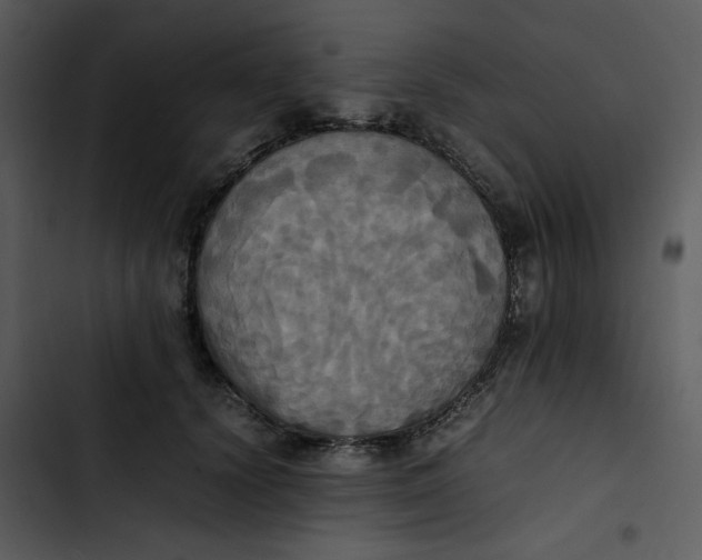 X0000102840656200809081221