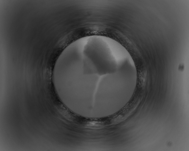 X0000102840657200809081221