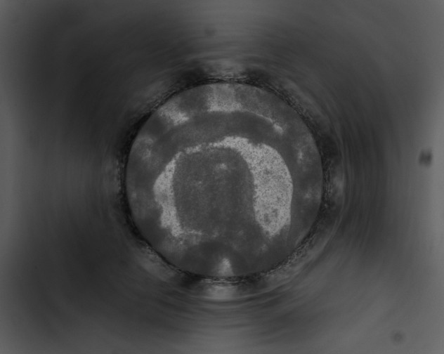 X0000102840658200809081221