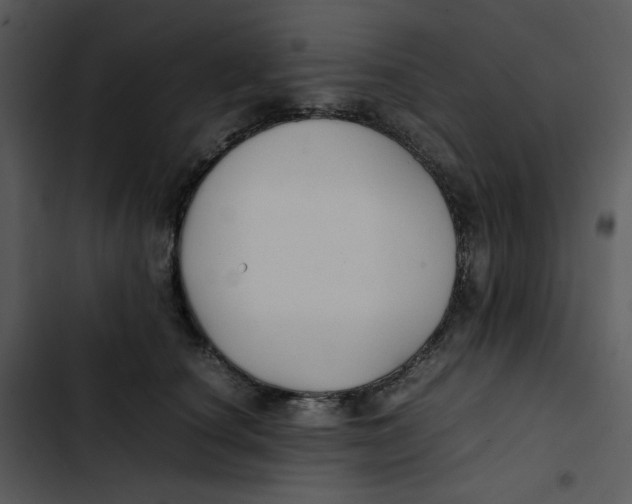 X0000102840660200809081221