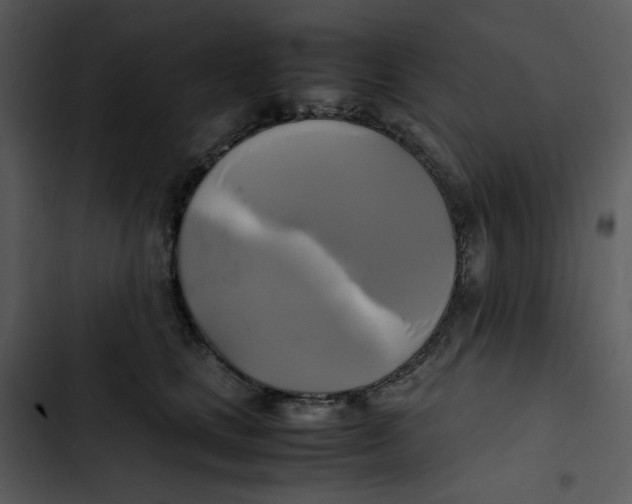 X0000102840661200809081221