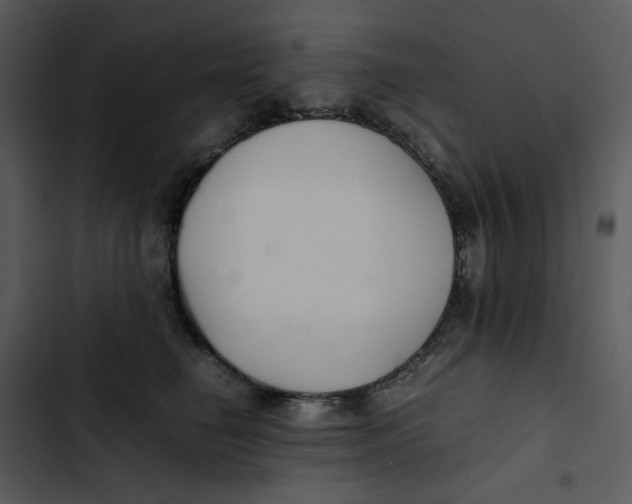 X0000102840662200809081221