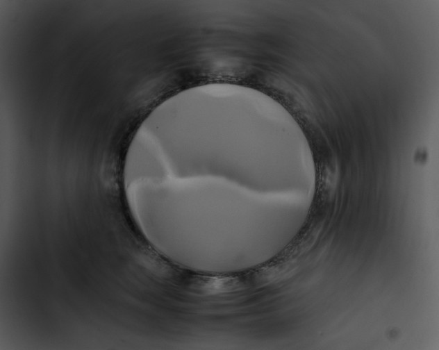 X0000102840663200809081221