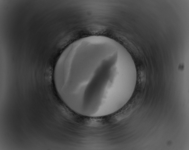 X0000102840664200809081221