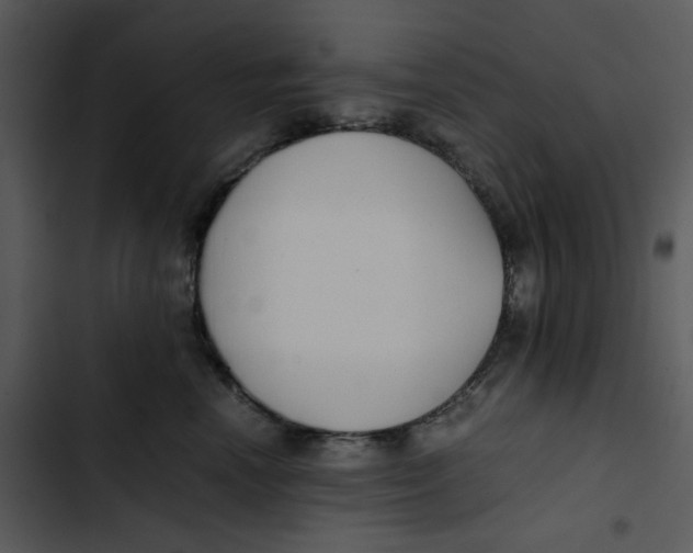 X0000102840666200809081221