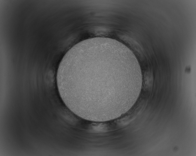 X0000102840667200809081221