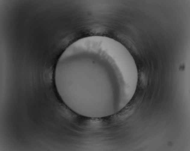 X0000102840668200809081221