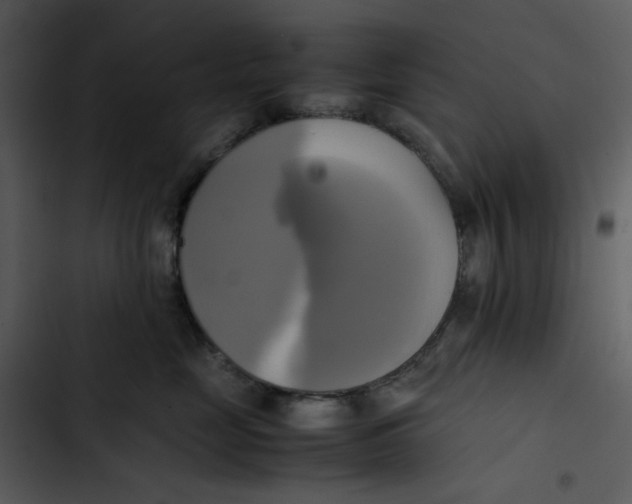 X0000102840669200809081221