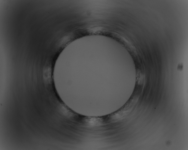 X0000102840670200809081221