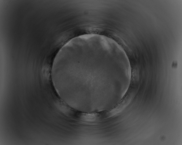 X0000102840671200809081221