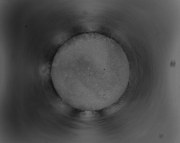 X0000102840672200809081221